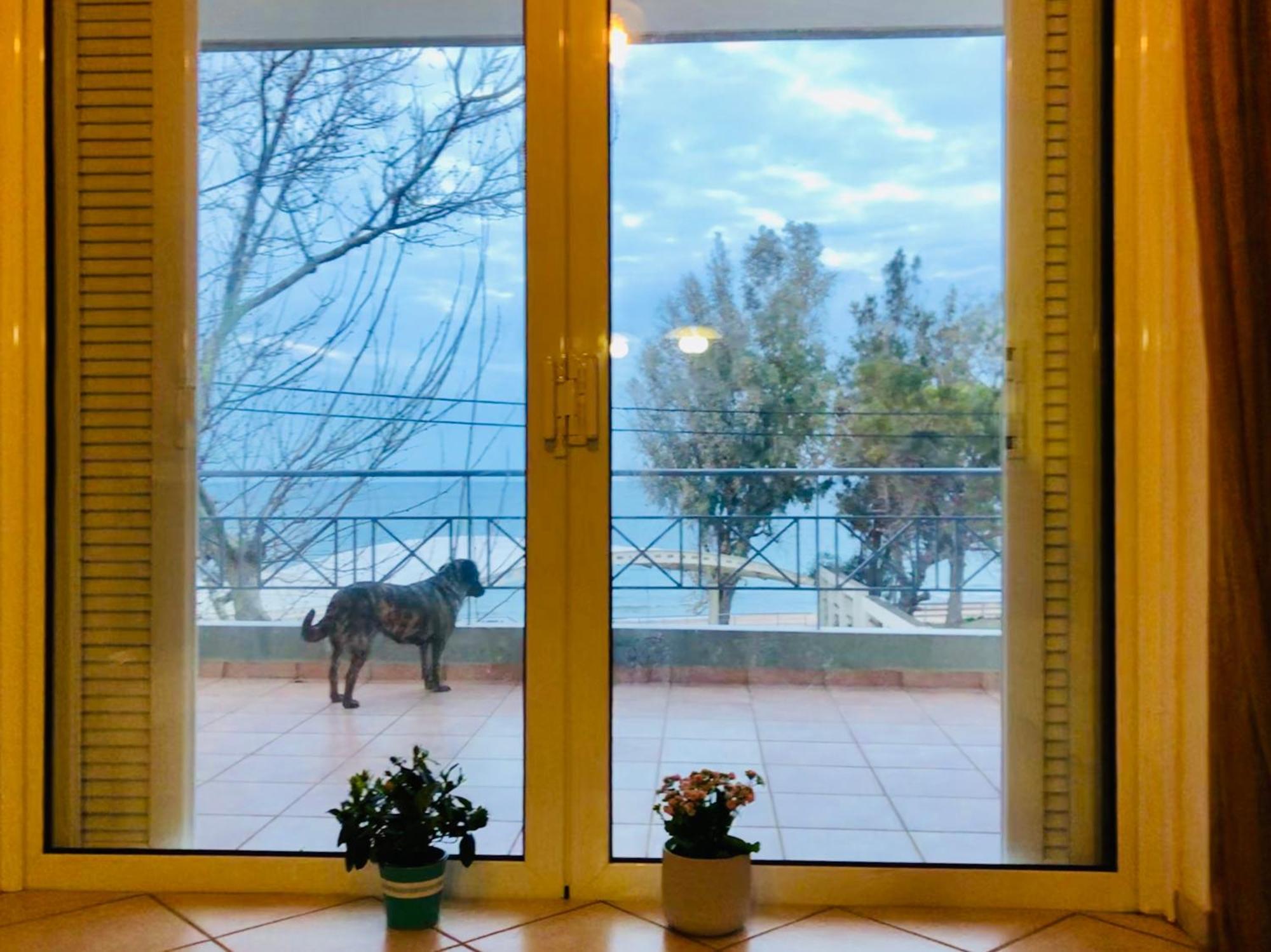 Chloe'S Sunrise Beach House Atenas Exterior foto